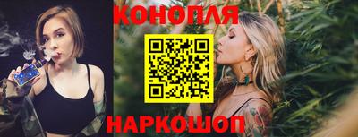 spice Гатчина