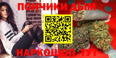 spice Гатчина